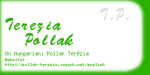 terezia pollak business card